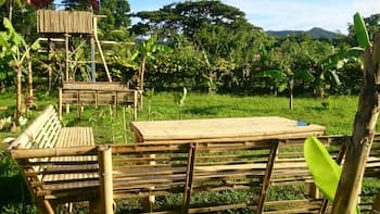 Banana Grove Backpackers Inn