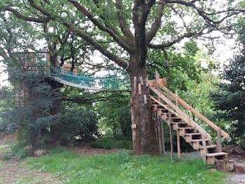 Cabane Dans Les Arbres - Le Nid Dans Le Chêne