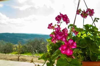 Erigone Cottage - Beautiful Ambiance