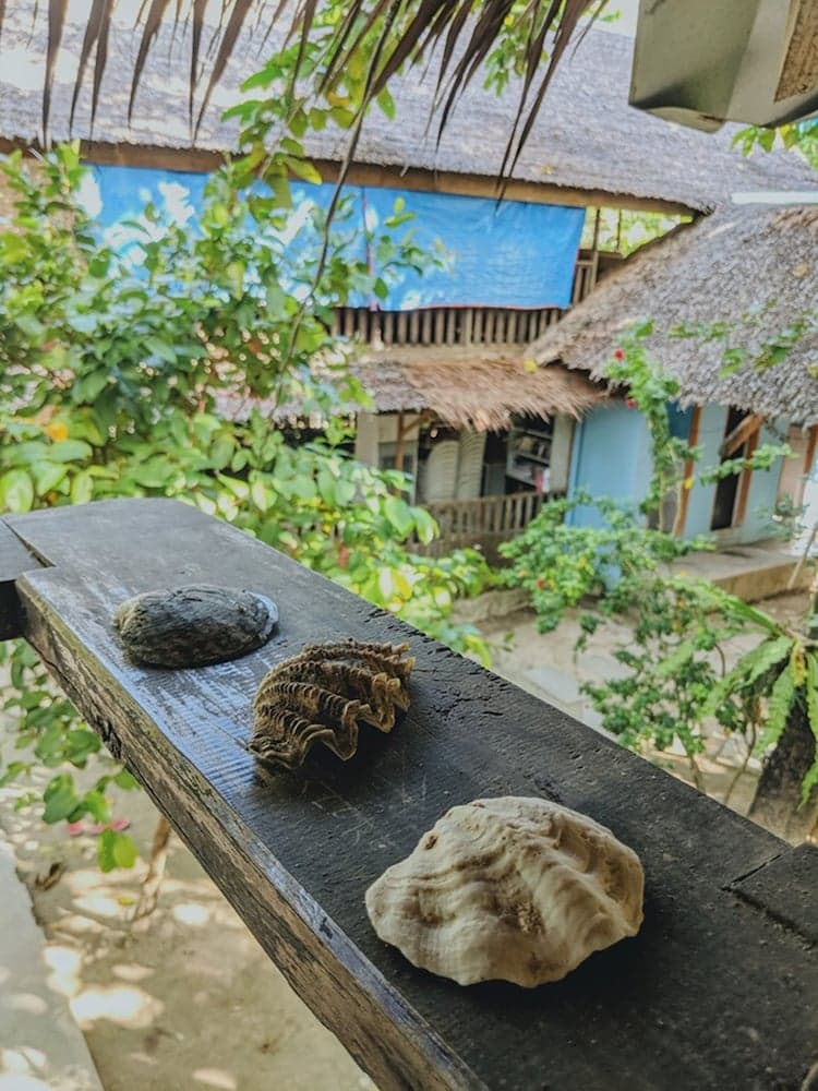 Jing's Place Homestay siargao