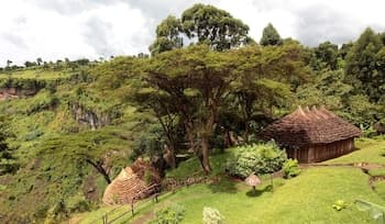 Lacam Lodge - Hostel