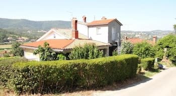 Bonini Apartments - Adults Only