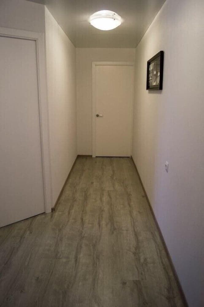 Apartment on Nekrasovskaya 96