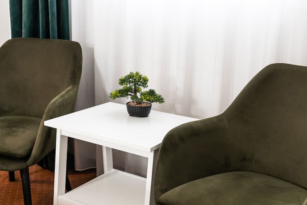 City Plaza Apartments & Rooms