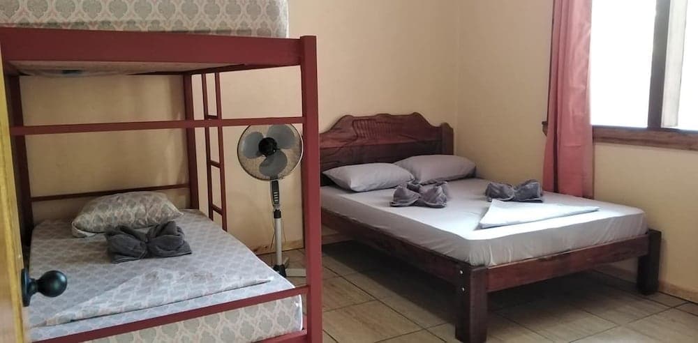 Apartamentos Caligo de Osa