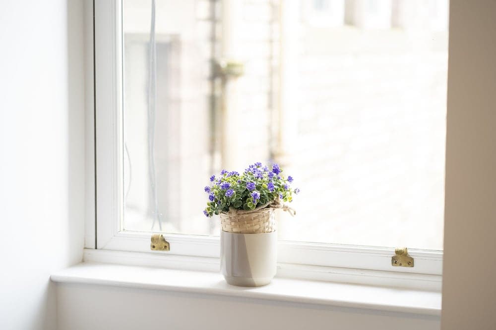 GreenStar Apartments