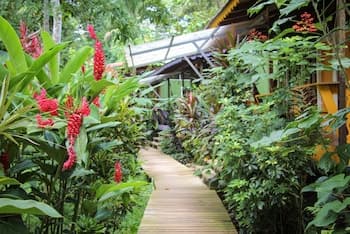 Secluded Beach Hotel