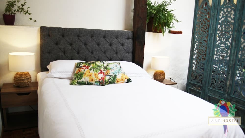 Vivo Hostel