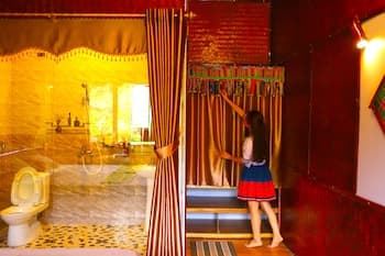 The Art - Golden Jungle House