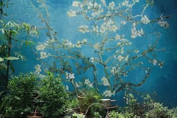 Only Cafe and Backpacker