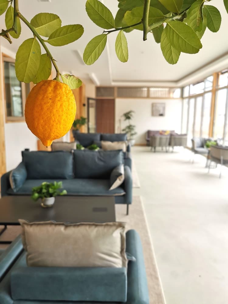 VINAWHISPER Boutique Hotel