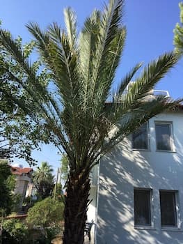 Gunaydin Apart & House