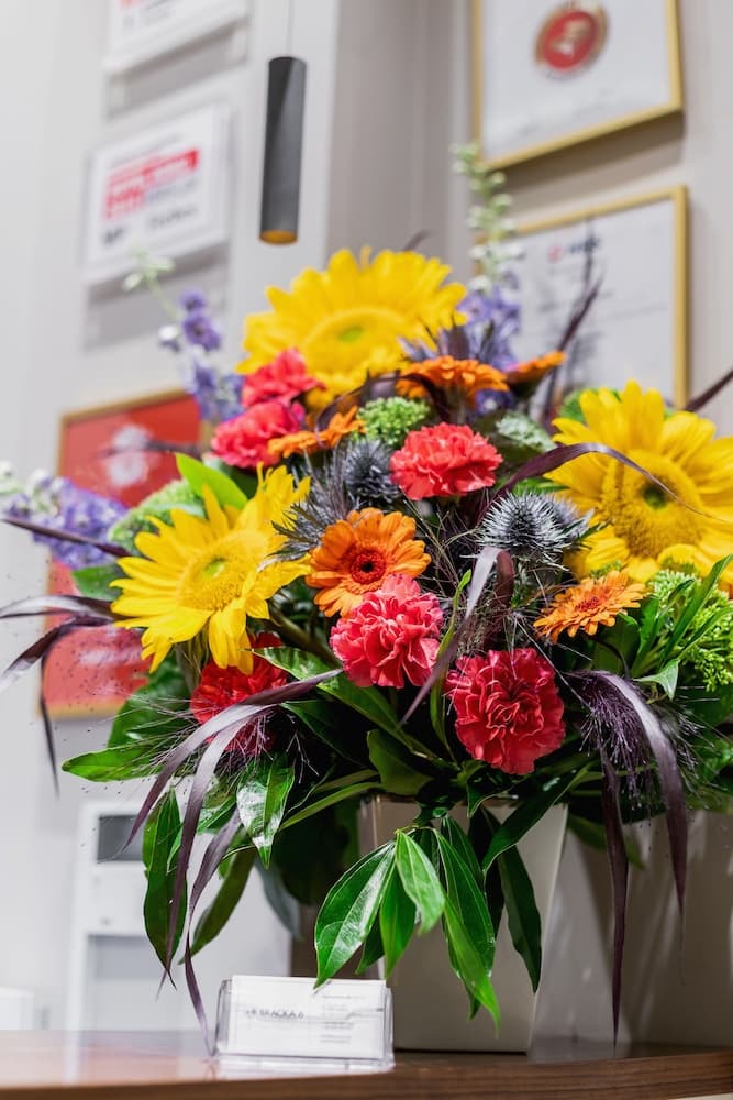 Apartamenty Bracka 6