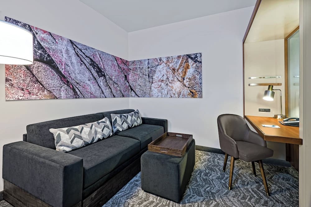 SpringHill Suites by Marriott San Antonio SeaWorld Lackland