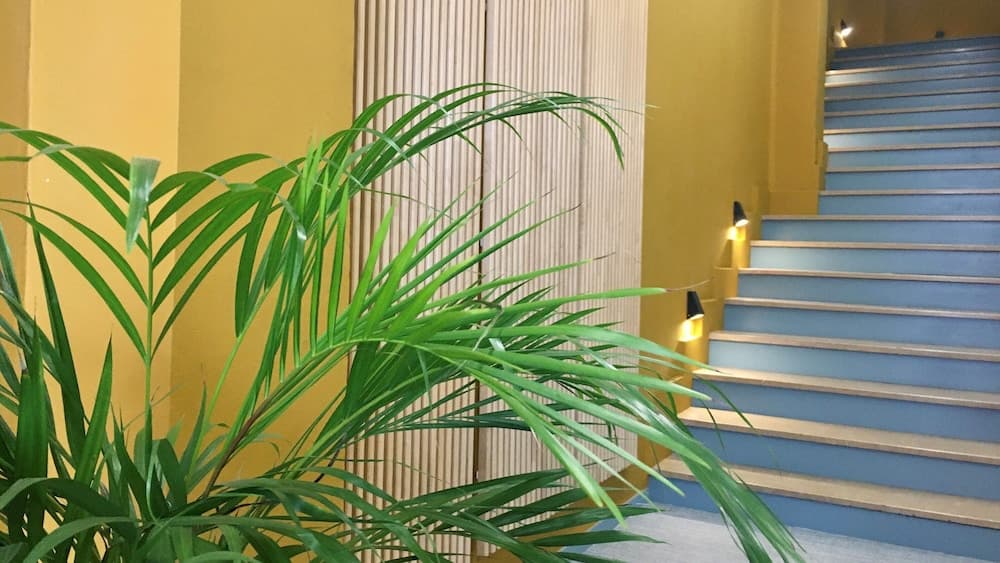 MD Modern Hotel - Jardines