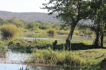 Orchards Farm Cottages