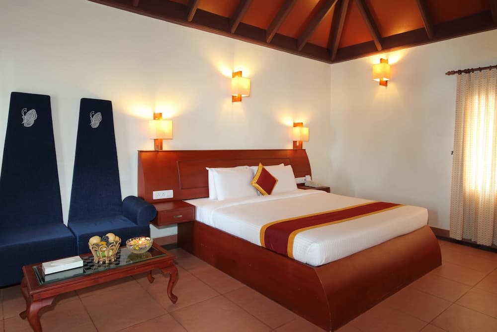 The World Backwaters