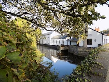 Flynns of Termonfeckin