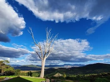 Kings Walden Garden Manor