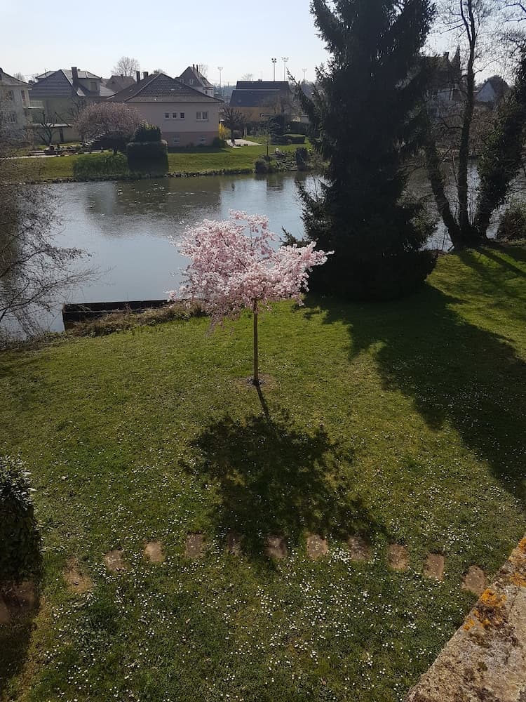 L'Hôtel des Bords de l'Ill