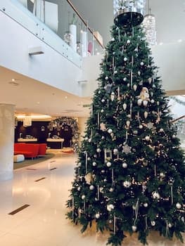 Radisson Hotel Kaliningrad