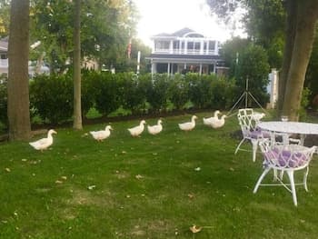 Walden Inn and Suites