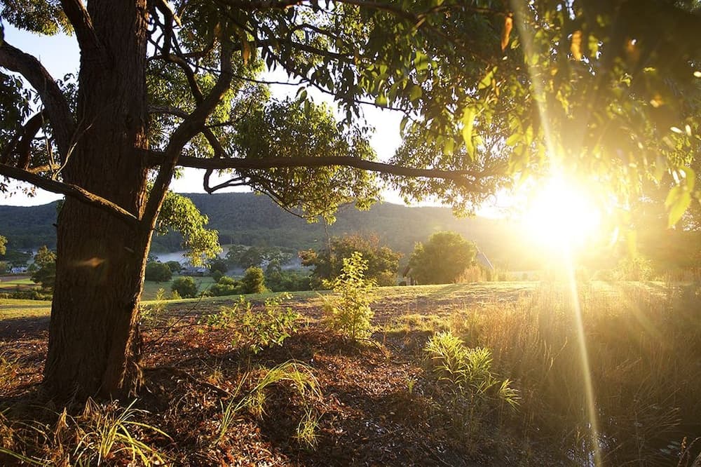 Clarendon Forest Retreat