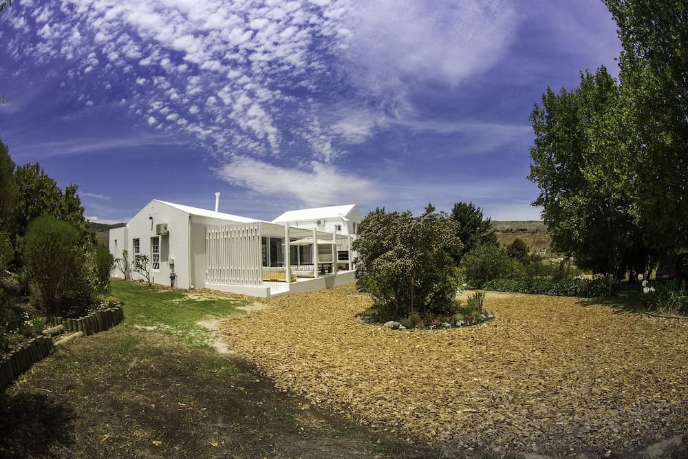 Old Mac Daddy - Campground