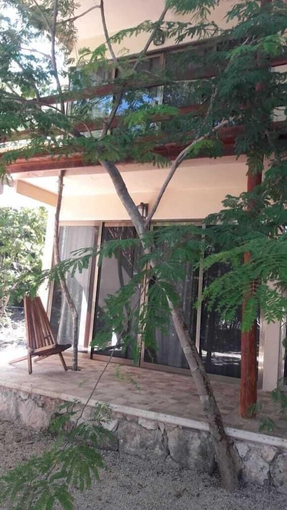 Iguana Rana Cabins Bacalar