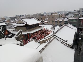 JM Veggie Friends Home