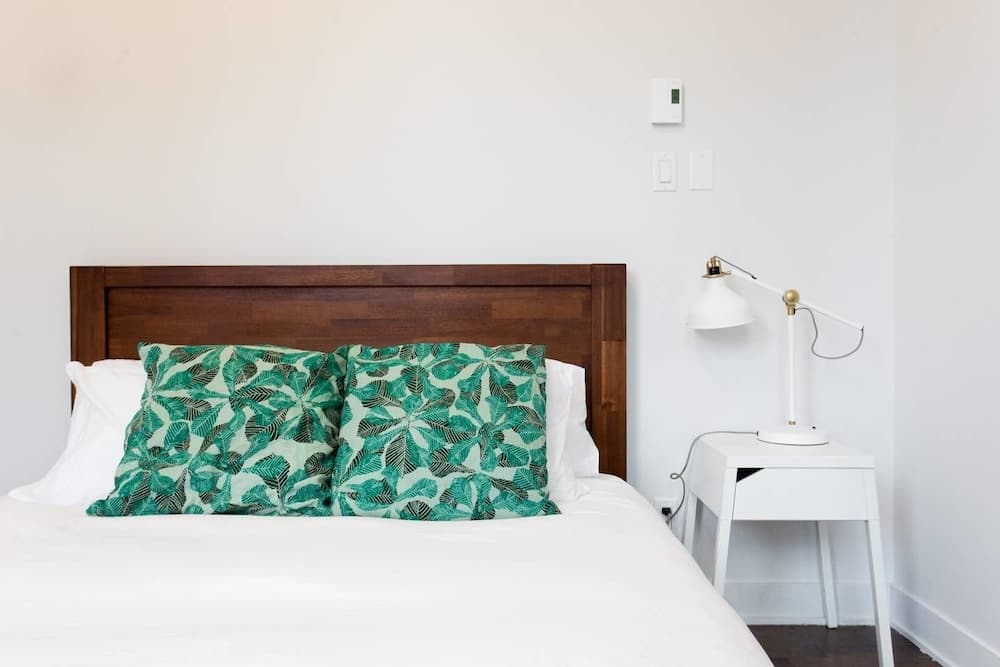 Huge Industrial Loft Near Mont-royal Metro