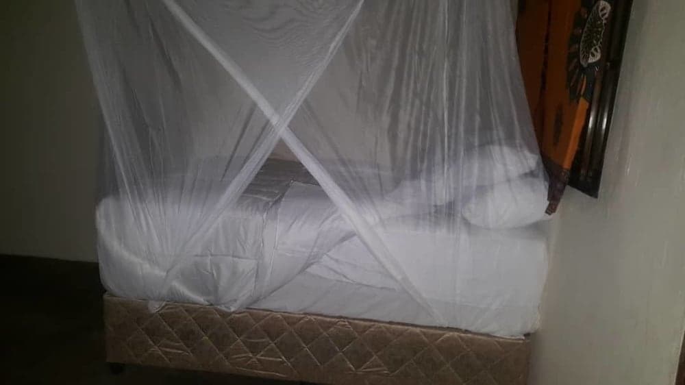 Simoonga Village Backpackers and Cafe