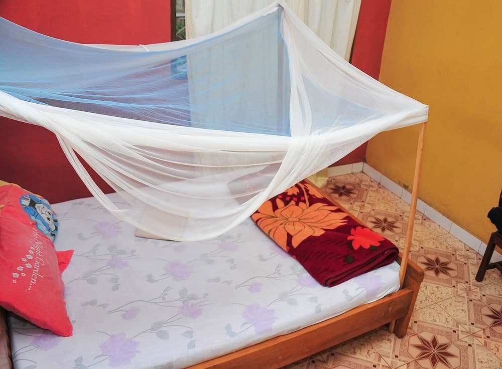 Venchester Guest House