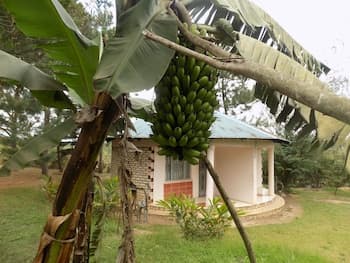 Bettina Resort Hotel