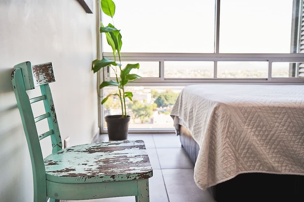 Dodo Horizontes Chapultepec