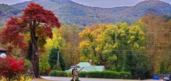 Tanglewood Motel and Log Cabins