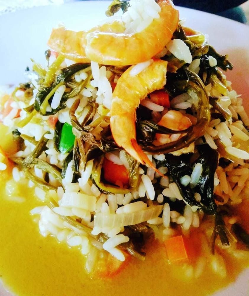 Pousada Bosque dos Aruas