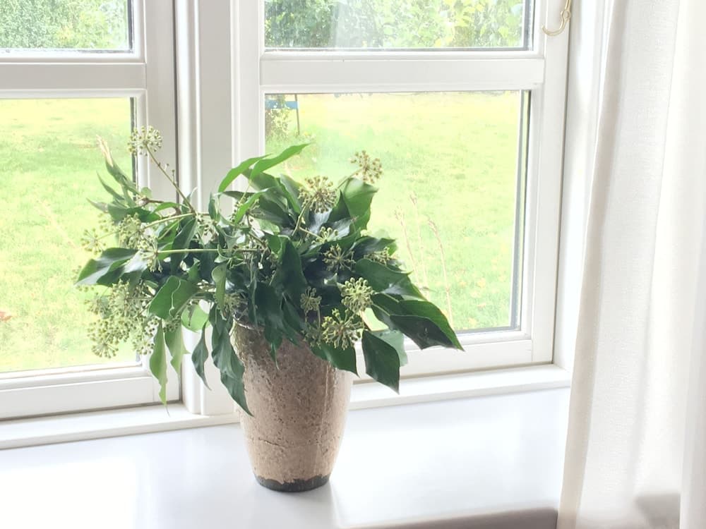 Spangsgaard bed and breakfast