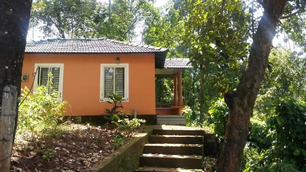 Jungle Valley Resort