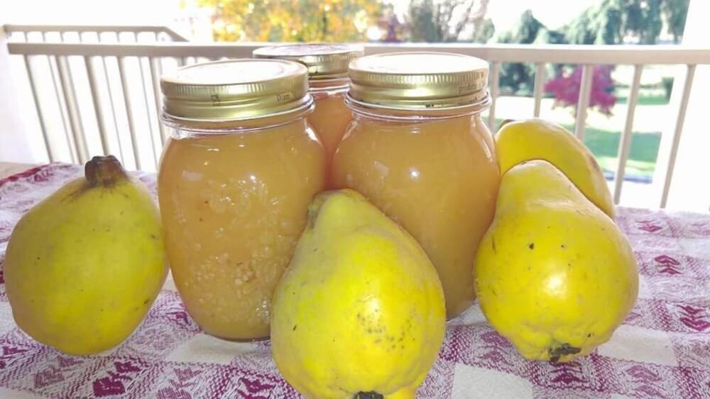 Agriturismo Sartori Terenzio