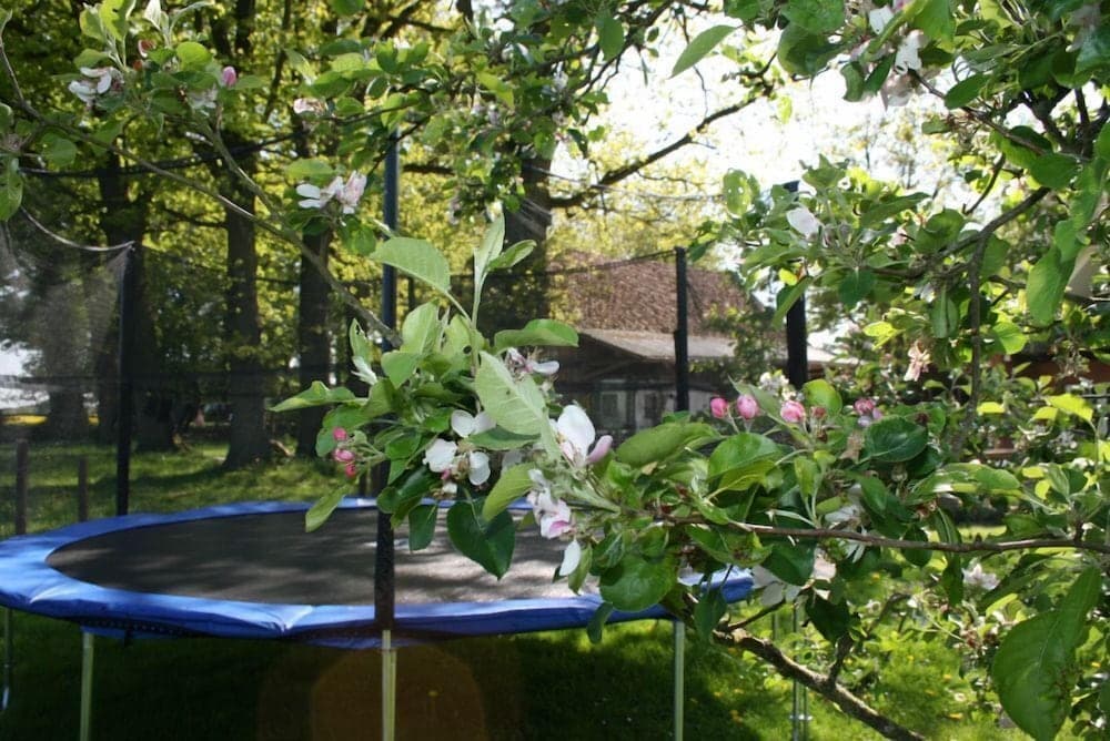 Ferienwohnung Zum Storchenblick