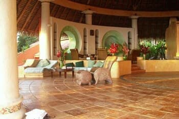 Tres Palmas Costa Rica