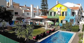 Mr Ziggy's Surfhouse - Hostel