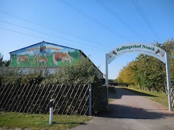 Haflingerhof Noack