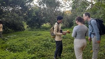 Yacumama Tambopata Ecolodge