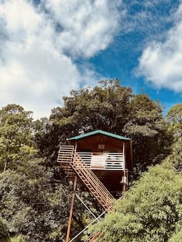 The Cocoon Camps & Nature Resorts