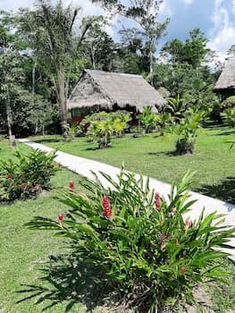 lupuna jungle tours and expeditions