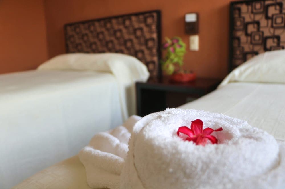 Hotel Casa Pellegrin