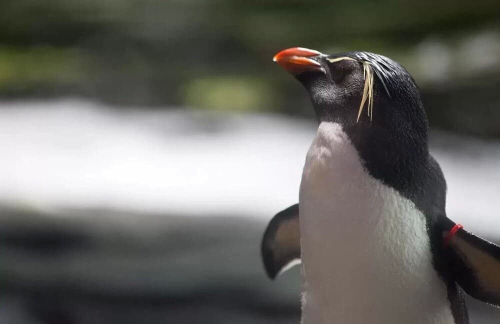 S Family Hostel Cenang - Adults Only