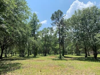 Comfy Camping At The Forge